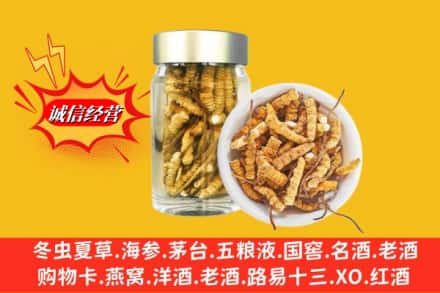 双鸭山宝山区回收散虫草