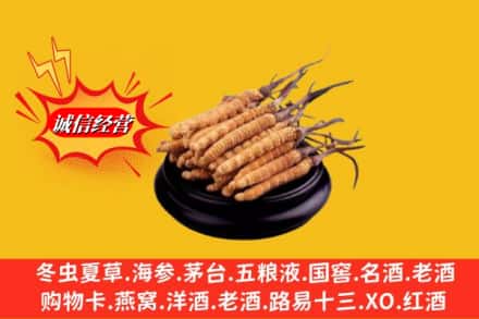 双鸭山宝山区求购回收虫草多少钱每克